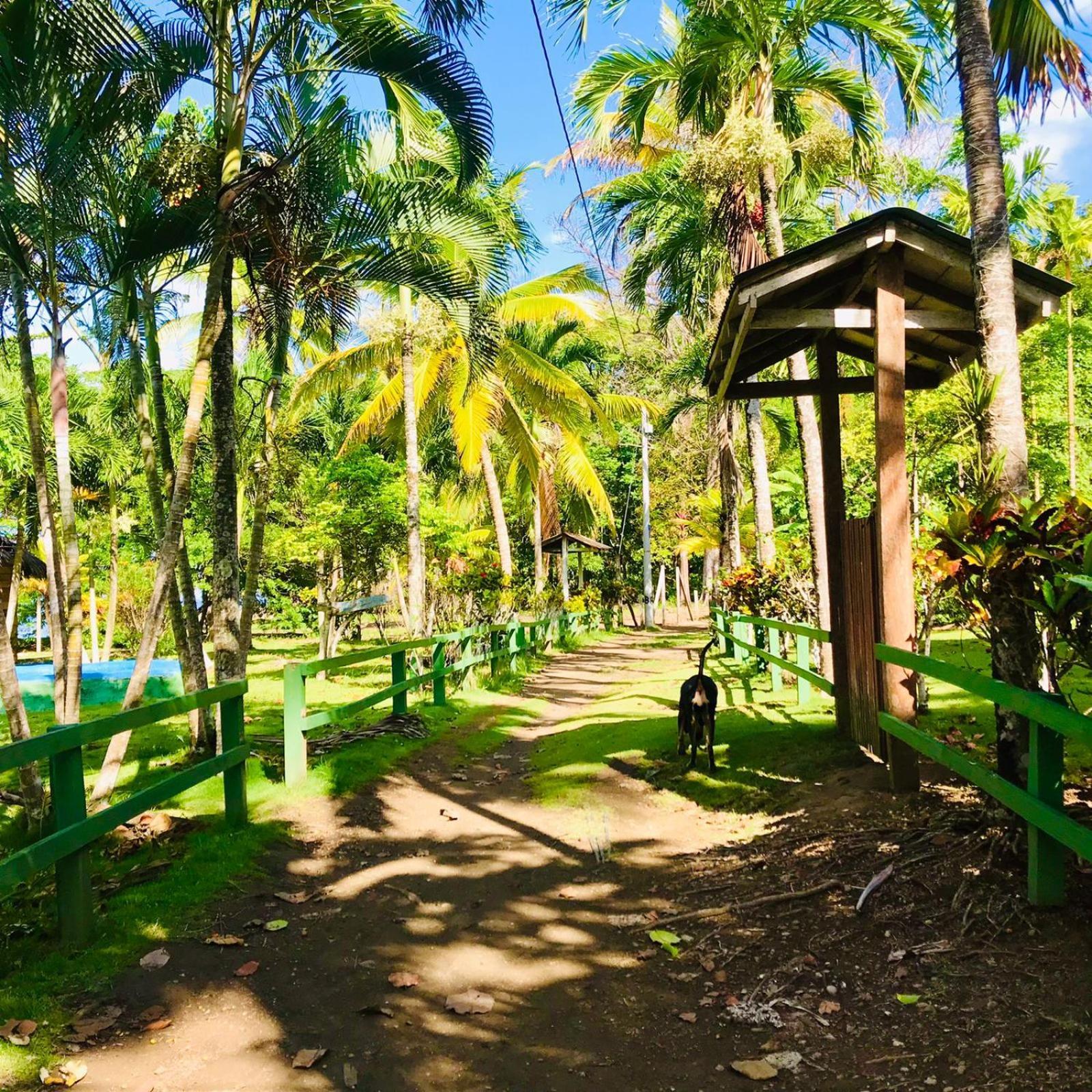 Hostal Doble Vista Capurgana Ngoại thất bức ảnh