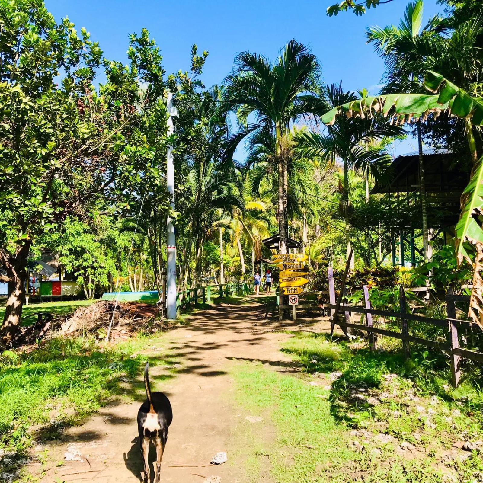 Hostal Doble Vista Capurgana Ngoại thất bức ảnh